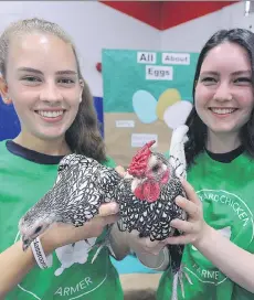  ?? NICK PROCAYLO ?? Blythe Parry, left, and Janelle Pomeroy brough their education campaign about raising backyard chickens to the Maple Ridge-Pitt Meadows Country Fest on Sunday.