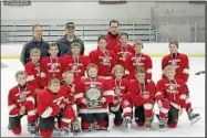  ??  ?? Owen J. Roberts Elementary ice hockey: Front row, kneeling: Gavin Schultz, Ethan Venezia, Wyatt Legge, Ryan Sweeney, Shawn Dubey, Cole Heintz and Adam Carter; second row, standing: Alex Walsberg, Zach Kuhar, Dawson Sakowski, Conor Booth, Ryan Walsh,...