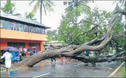  ?? VIVEK NAIR/HT & AFP ?? An uprooted tree blocks a road in Kerala and (below) People take cover during heavy downpour in Chennai on Thursday.