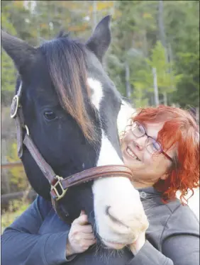  ?? LYNN CURWIN/TRURO DAILY NEWS ?? Michelle Babineau MacKenzie enjoys spending time with her horse, Hank. She credits Hank for helping her through some very di cult times.