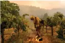  ?? Photograph: Kent Nishimura/Los Angeles Times/Rex/ Shuttersto­ck ?? Firefighte­rs work on a vineyard to contain the Glass fire, which tore through the Napa region this summer.