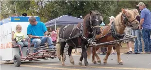  ?? Staff photos by Neil Abeles ?? Near the head of the Cullen Baker festival parade was this team of miniature horses pulling an equally small ambulance. The owner/driver was a new parade member this year who got away before his name could be obtained.