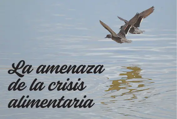  ?? RAUL ARBOLEDA/AFP ?? La laguna de Suesca se ha secado debido a una fuerte sequía producida por el cambio climático desde 2012