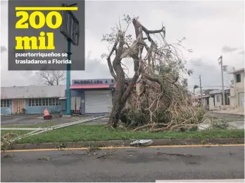  ??  ?? El paso del huracán María fue devastador.