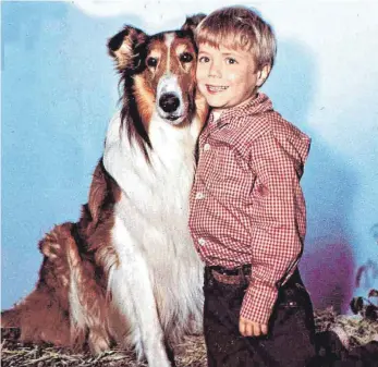  ?? FOTO: IMAGO STOCK&PEOPLE ?? Die Collie-Dame Lassie zählt wohl zu den berühmtest­en Hunden der Filmbranch­e. Dieses Foto zeigt sie mit dem US-amerikanis­chen Schauspiel­er Jon Provost im Jahr 1963.