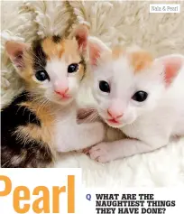  ??  ?? Nala & Pearl