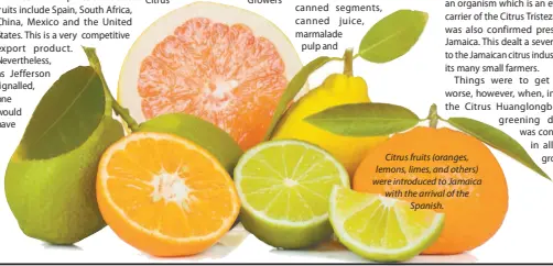  ?? ?? Citrus fruits (oranges, lemons, limes, and others) were introduced to Jamaica with the arrival of the Spanish.