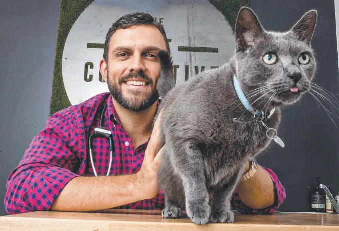  ?? Picture: JERAD WILLIAMS ?? Passionate animal lover Rich Seymour from The Vet Collective at Miami is in the running to become the next Bondi Vet.