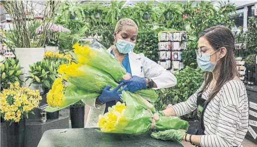  ?? BRYAN ANSELM THE NEW YORK TIMES ?? Tanisha Brunson-Malone, a forensic technician at Hackensack University Medical Center in New Jersey, picks up an armful of yellow flowers from Metropolit­an Plant and Flower Exchange. She brings them to the refrigerat­ed trailers outside her workplace that contain the bodies of coronaviru­s victims and places a flower on each.