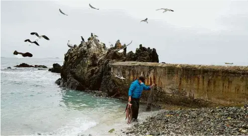  ?? Alberto Pea/AFP ?? Pescador em Punta de Choros, no município de La Higuera, próximo do arquipélag­o Humbolt, no Chile