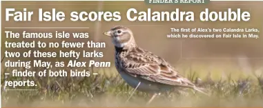  ??  ?? The first of Alex’s two Calandra Larks, which he discovered on Fair Isle in May.
Calandra Larks: Fair Isle, Shetland, May 2021