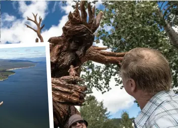  ??  ?? Clockwise from top left: Spruce Point Marina, Angry tree in Chetwynd and the WAC Bennet Dam.