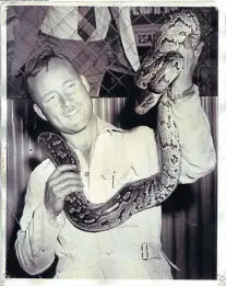  ??  ?? Above, David Brits’s late grandfathe­r, John Wood, was one of South Africa’s best-known reptile experts; top, a barefoot Brits in his studio