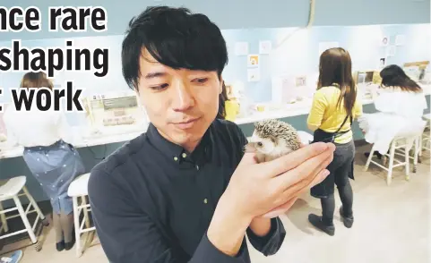  ?? — Reuters photo ?? Masaki Shimizu, 32, who on top of his regular job at internet start-up En Factory Inc, runs a coffee shop where patrons can pet live hedgehogs and has two other side jobs.