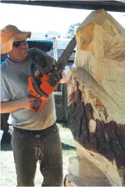  ??  ?? Paul Stafford carves an Eagle with his chainsaw at last year’s Neerim District Show.