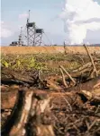  ?? FOTO: DPA ?? Gefällte Bäume im Hambacher Forst geben den Blick auf Bagger frei.