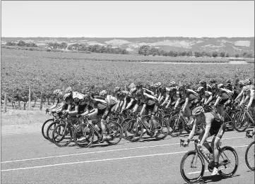  ??  ?? The peloton is pictured during stage five of the Tour Down Under cycling race from McLaren to Willunga in Adelaide.