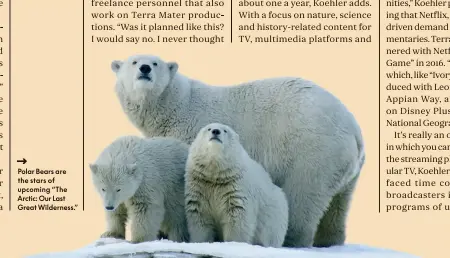  ??  ?? .
Polar Bears are the stars of upcoming “The Arctic: Our Last Great Wilderness.”