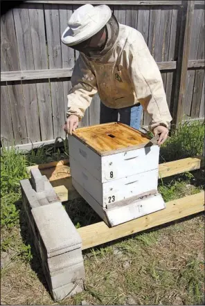  ??  ?? Jon Zawislak is a bee expert for the Cooperativ­e Extension Service. He maintains a bee research station at Two Rivers Park in Little Rock. Zawislak says homemade honey has a taste far superior to that of honey bought in grocery stores.