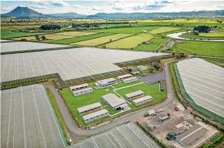  ?? ?? The Putauaki Village on Lots 13 and 14, 313a Hydro Road, Edgecumbe, features a purpose-built accommodat­ion complex for seasonal orchard workers in the kiwifruit industry.