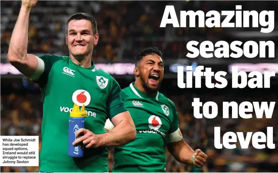  ??  ?? While Joe Schmidt has developed squad options, Ireland would still struggle to replace Johnny Sexton