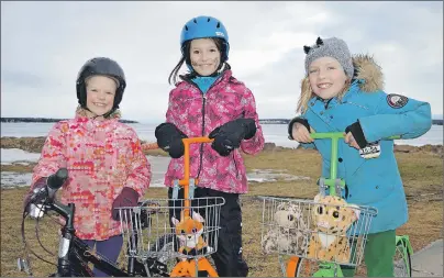  ?? ."63&&/ $06-5&3 5$ .&%*" ?? Dinah Midgley, 7, left, Maddie Beck, 9, and Kayce Midgley, 8, hit the Charlottet­own boardwalk for a late-afternoon bike ride Sunday. The mild temperatur­es allowed Islanders to enjoy some outdoor time without the biting chill of winter.