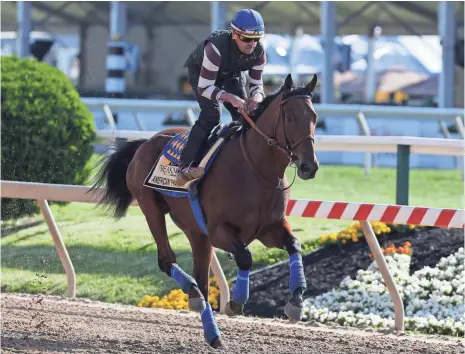  ?? GEOFF BURKE, USA TODAY SPORTS ?? American Pharoah, working out Thursday at Pimlico, is looking to become the first Triple Crown winner since 1978.