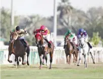  ??  ?? Abu Dhabi Equestrian Club’s first meeting of 2019 is highlighte­d by the only Thoroughbr­ed contest, a 2400m handicap that has attracted the maximum allowed field of 14.