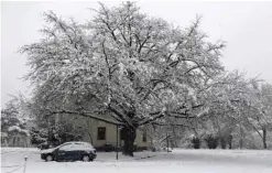  ??  ?? ANKARA: Trees and a cars are covered with snow in Ankara yesterday. —AFP