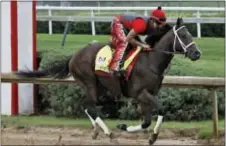  ?? GARRY JONES — THE ASSOCIATED PRESS ?? Exercise rider Martin Rivera gallops Kentucky Derby entrant Classic Empire at Churchill Downs in Louisville, Ky.