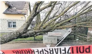  ?? SYMBOLFOTO: FRISO GENTSCH/DPA ?? Wenn beim Sturm Bäume umstürzen und Dächer abgedeckt werden, kann es schnell teuer werden.