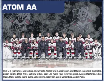 ATOM AA - PressReader