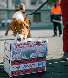  ??  ?? The Psychoacti­ve Substances Act 2013 originally allowed animal testing but it was amended in 2014 after a public backlash.