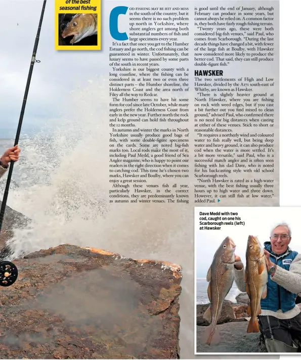  ??  ?? Dave Medd with two cod, caught on one his Scarboroug­h reels (left) at Hawsker