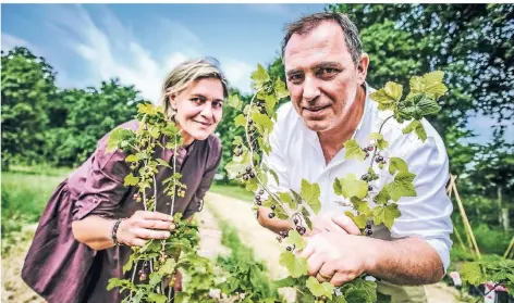  ?? FOTO: ANDREAS BRETZ ?? Gastronome­n werden zu Gärtnern: Uta und Ciro Colella hoffen auf reiche Ernte – trotz Verzichts auf Dünger und Chemie.
