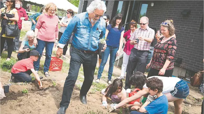  ?? MAISON COUP DE POUCE DE TROIS-RIVIÈRES ?? David Suzuki participe à une activité de plantation d’asclépiade­s, seule plante sur laquelle les monarques pondent leurs oeufs, à Trois-Rivières dans le cadre de la campagne L’effet papillon de sa fondation.