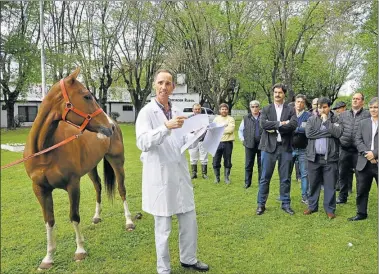  ?? CEDOC PERFIL ?? RASTRO. El nuevo DUE permite una mejor rastreabil­idad de los animales.