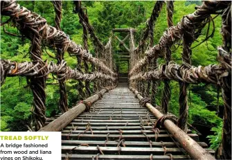  ??  ?? TREAD SOFTLY A bridge fashioned from wood and liana vines on Shikoku.