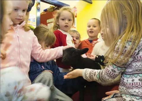  ??  ?? Children at Tír na nÓg in Mountgarre­tt, New Ross, are delighted with the visit of a spring lamb to the playschool