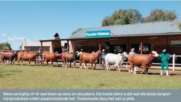  ??  ?? Wees versigtig vir té veel klem op skou en skoudiere. Die beste diere is dié wat die beste langtermyn­produksie onder plaastoest­ande het. Tradisione­le skou het wel sy plek.