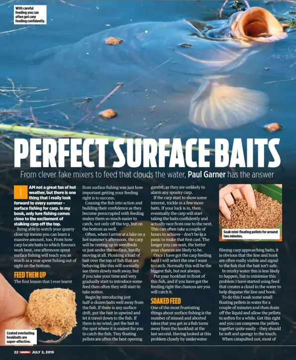  ??  ?? With careful feeding you can often get carp feeding confidentl­y. Coated everlastin­g hookbaits are super-effective. Soak mini-floating pellets for around two minutes.