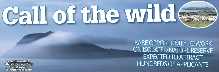  ??  ?? ● Bardsey Island offers an escape from the rat race to intrepid jobseekers