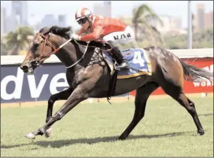  ?? Picture: Nkosi Hlophe ?? BLUE BERRY PIE, with Lyle Hewitson in the irons, runs in the fifth at the Vaal tomorrow.