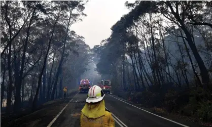  ?? Photograph: Saeed Khan/AFP via Getty Images ?? Labor says Andrew Constance’s request for an 80-metre ‘clearance zone’ around highways could have resulted in millions of trees being felled.