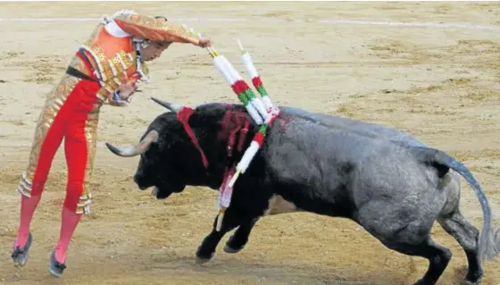  ??  ?? Diego Peseiro protagoniz­ó dos espectacul­ares tercios de banderilla­s, destacando este par al violín ante el sexto utrero, ‘Gavilán’.