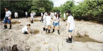  ?? PHOTOGRAPH COURTESY OF MR. DIY ?? VOLUNTEERS from MR.DIY plant mangrove seedlings in Barangay Doljo, Panglao, Bohol.