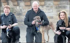  ??  ?? PC Rhona Meikle with Sweep, PC Brian Tennant with Boris and occupation­al therapist Jacqui Evans with Ozzy Picture: Gordon Terris