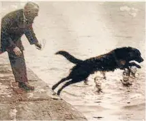  ??  ?? Leap of faith: Swansea Jack made many a watery rescue.