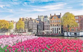  ??  ?? An Amsterdam cityscape with blooming flowers down by the canal.