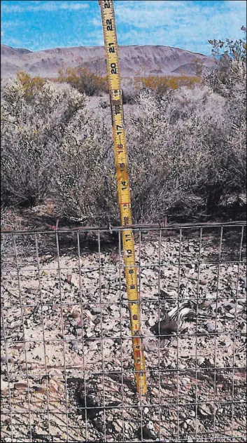  ??  ?? Protective fencing for the Mojave desert tortoise along U.S. Highway 95 between Cactus Springs in Clark County and Mercury in Nye County.